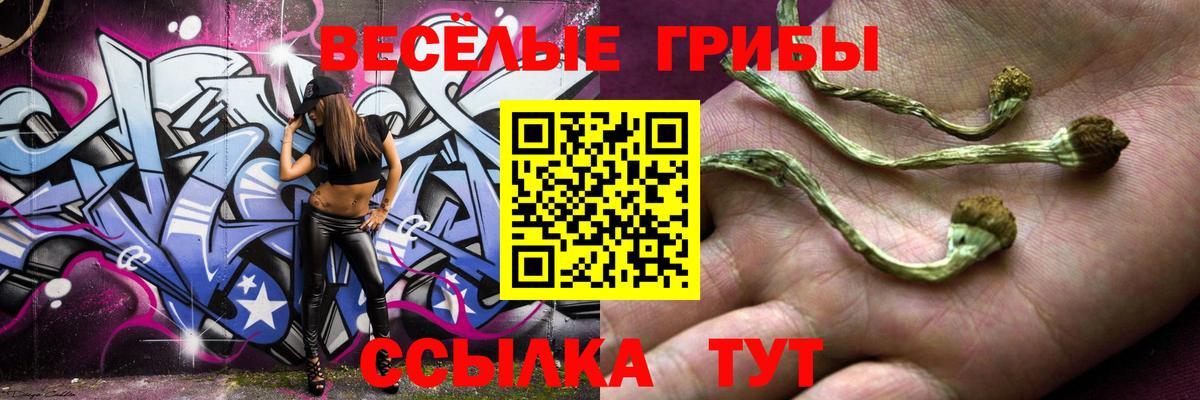 Галлюциногенные грибы Magic Shrooms  Галлюциногенные грибы GOLDEN TEACHER  купить   Вход с VPN  Алушта 